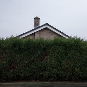 STILL AT THEIR VERY BEST - LIVE